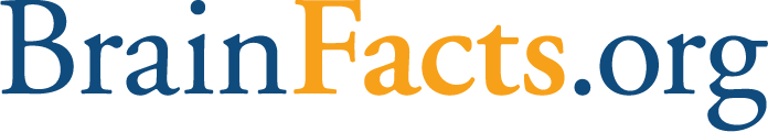 brain facts logo